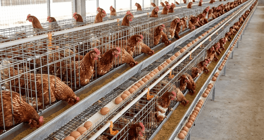 Sustainable Farming